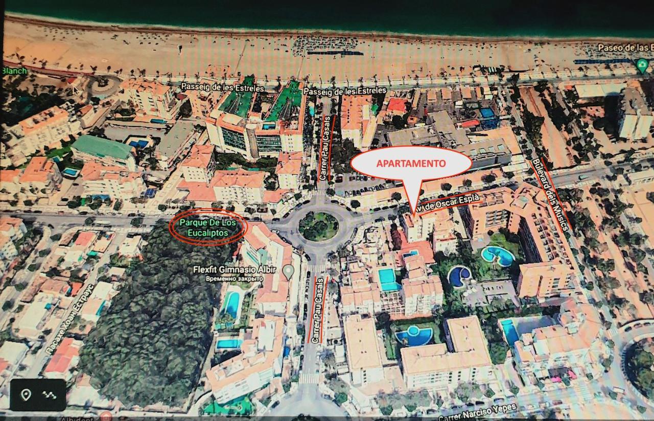 Playa Albir Apartments A21 阿尔比尔 外观 照片